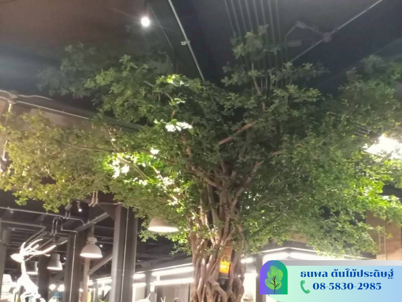 จัดสวนต้นไม้ปลอมขนาดใหญ่ จัดสวนต้นไม้ปลอมขนาดใหญ่