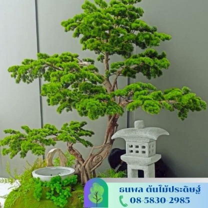 รับจัดสวนต้นไม้ปลอม - รับจัดสวนต้นไม้ปลอม - บริษัท เอนเกรท อินเตอร์เนชั่นแนล จำกัด