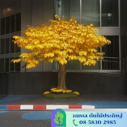 โพธิ์ทอง - รับจัดสวนต้นไม้ปลอม - บริษัท เอนเกรท อินเตอร์เนชั่นแนล จำกัด
