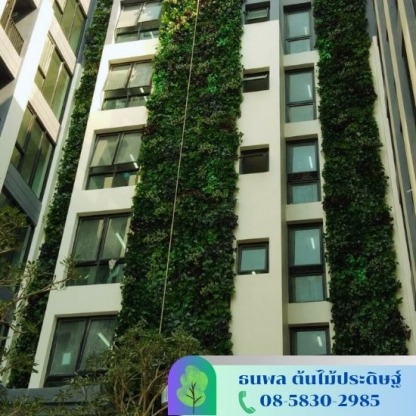 รับจัดสวนแนวตั้ง - รับจัดสวนต้นไม้ปลอม - บริษัท เอนเกรท อินเตอร์เนชั่นแนล จำกัด