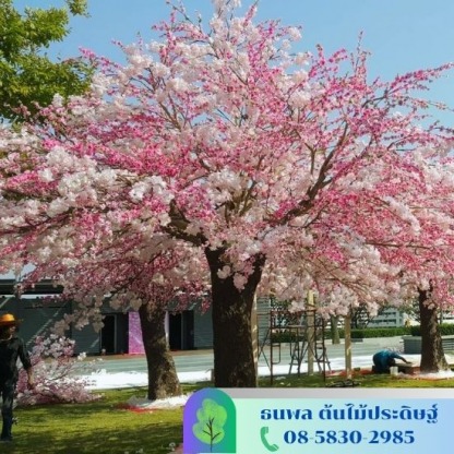 ต้นซากุระ - รับจัดสวนต้นไม้ปลอม - บริษัท เอนเกรท อินเตอร์เนชั่นแนล จำกัด