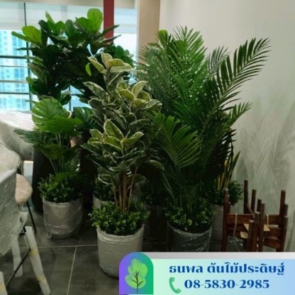 ต้นไม้ปลอม ไทรใบสัก - รับจัดสวนต้นไม้ปลอม - บริษัท เอนเกรท อินเตอร์เนชั่นแนล จำกัด