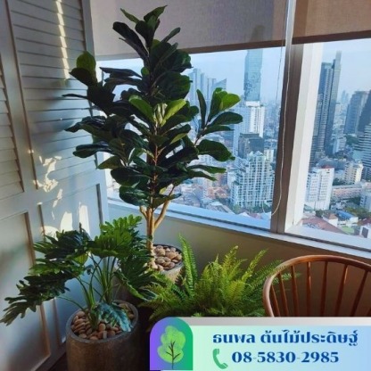 ต้นไม้ปลอมขนาดเล็ก - รับจัดสวนต้นไม้ปลอม - บริษัท เอนเกรท อินเตอร์เนชั่นแนล จำกัด