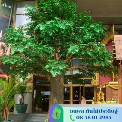 ต้นไม้ใหญ่ - รับจัดสวนต้นไม้ปลอม - บริษัท เอนเกรท อินเตอร์เนชั่นแนล จำกัด