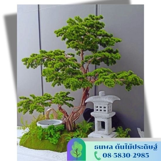 รับจัดสวนต้นไม้ปลอม - ธนพล ต้นไม้ประดิษฐ์ - รับจัดสวนต้นไม้ปลอม