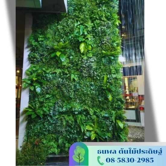 รับจัดสวนต้นไม้ปลอม - ธนพล ต้นไม้ประดิษฐ์ - รับจัดสวนแนวตั้งต้นไม้ปลอม