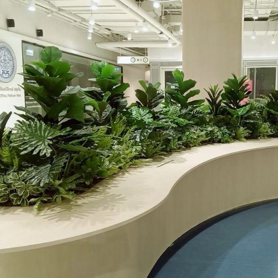 รับจัดสวนต้นไม้ปลอม - ธนพล ต้นไม้ประดิษฐ์ - รับจัดสวนต้นไม้ปลอม  จัดสวนต้นไม้ปลอมราคาถูก  รับจัดสวนต้นไม้ปลอม ครบวงจร  รับจัดสวนแนวตั้งต้นไม้ปลอม  รับจัดสวนแนวตั้ง  รับจัดสวนต้นไม้ปลอมแนวนอน  รับจัดสวนหิน มอส และต้นไม้ปลอม 