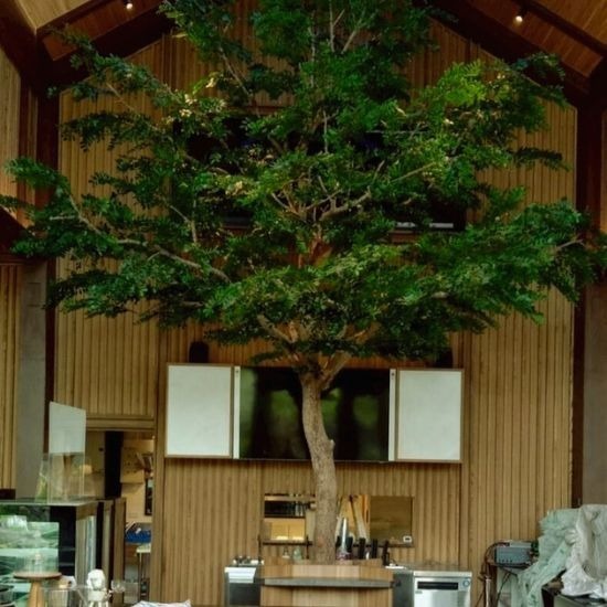 ต้นไม้ปลอมขนาดใหญ่ - ธนพล ต้นไม้ประดิษฐ์ - ติดตั้งต้นไม้ปลอมขนาดใหญ่  ต้นไม้ปลอมขนาดใหญ่  ต้นไม้ปลอมขนาดใหญ่ราคาถูก  รับติดตั้งต้นไม้ปลอมขนาดใหญ่  จัดสวนต้นไม้ปลอมขนาดใหญ่  รับออกแบบต้นไม้ปลอมขนาดใหญ่ 