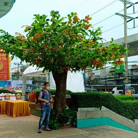 ต้นไม้ปลอมขนาดใหญ่ - ธนพล ต้นไม้ประดิษฐ์ - ติดตั้งต้นไม้ปลอมขนาดใหญ่  ต้นไม้ปลอมขนาดใหญ่  ต้นไม้ปลอมขนาดใหญ่ราคาถูก  รับติดตั้งต้นไม้ปลอมขนาดใหญ่  จัดสวนต้นไม้ปลอมขนาดใหญ่  รับออกแบบต้นไม้ปลอมขนาดใหญ่ 