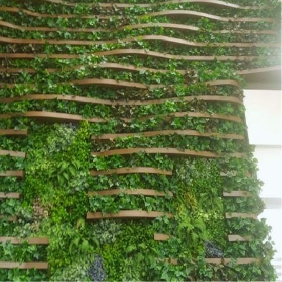 รับจัดสวนแนวตั้งต้นไม้ปลอม - ธนพล ต้นไม้ประดิษฐ์ - จัดสวนแนวตั้งต้นไม้ปลอม  ต้นไม้ปลอมตกแต่งงานอีเวนท์  จัดงานอีเวนท์ต้นไม้ปลอม  รับตกแต่งงานอีเวนท์ต้นไม้ประดิษฐ์  ต้นไม้ปลอมเกรดพรีเมียม  ตกแต่งผนังด้วยต้นไม้ปลอม  จัดสวนแนวตั้ง ราคาไม่แพง  รับจัดสวนแนวตั้งต้นไม้ปลอม พร้อมติดตั้ง 