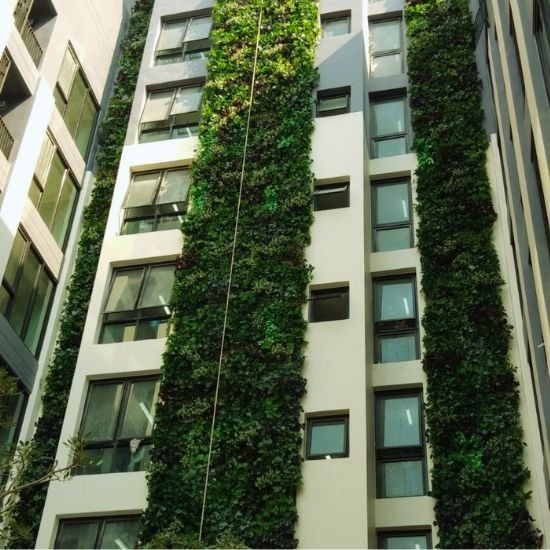 รับจัดสวนแนวตั้งต้นไม้ปลอม - ธนพล ต้นไม้ประดิษฐ์ - จัดสวนแนวตั้งต้นไม้ปลอม  ต้นไม้ปลอมตกแต่งงานอีเวนท์  จัดงานอีเวนท์ต้นไม้ปลอม  รับตกแต่งงานอีเวนท์ต้นไม้ประดิษฐ์  ต้นไม้ปลอมเกรดพรีเมียม  ตกแต่งผนังด้วยต้นไม้ปลอม  จัดสวนแนวตั้ง ราคาไม่แพง  รับจัดสวนแนวตั้งต้นไม้ปลอม พร้อมติดตั้ง 