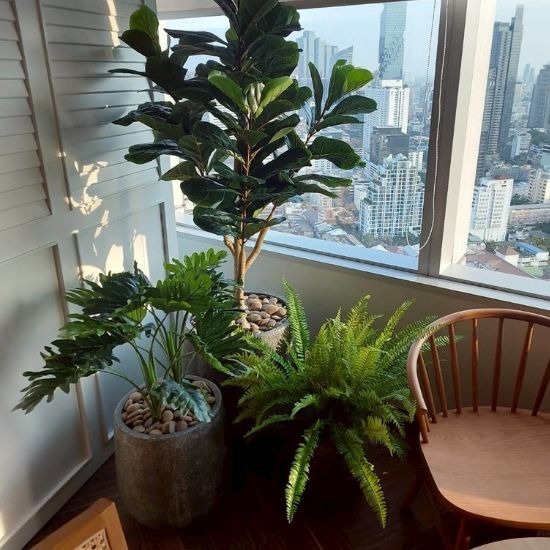 รับจัดสวนต้นไม้ปลอมในอาคาร - ธนพล ต้นไม้ประดิษฐ์ - รับจัดสวนต้นไม้ปลอมในอาคาร  ผลิตต้นไม้ปลอม  รับผลิตต้นไม้ปลอม  จำหน่ายต้นไม้ปลอมราคาส่ง  รับสั่งทำต้นไม้ปลอม  ต้นไม้ประดิษฐ์คุณภาพสูง  จำหน่ายต้นไม้ปลอม  รับสั่งทำต้นไม้ปลอมตามแบบ  โรงงานผลิตต้นไม้ประดิษฐ์ 