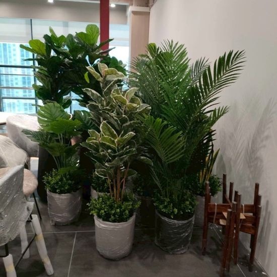 รับจัดสวนต้นไม้ปลอมในอาคาร - ธนพล ต้นไม้ประดิษฐ์ - รับจัดสวนต้นไม้ปลอมในอาคาร  ผลิตต้นไม้ปลอม  รับผลิตต้นไม้ปลอม  จำหน่ายต้นไม้ปลอมราคาส่ง  รับสั่งทำต้นไม้ปลอม  ต้นไม้ประดิษฐ์คุณภาพสูง  จำหน่ายต้นไม้ปลอม  รับสั่งทำต้นไม้ปลอมตามแบบ  โรงงานผลิตต้นไม้ประดิษฐ์ 