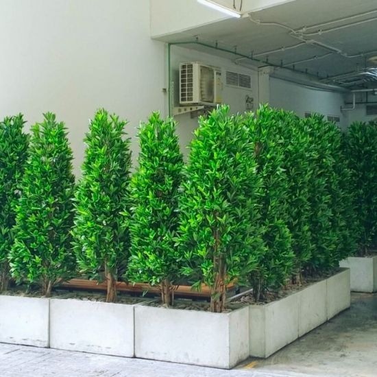 รับจัดสวนต้นไม้ปลอมในอาคาร - ธนพล ต้นไม้ประดิษฐ์ - รับจัดสวนต้นไม้ปลอมในอาคาร  ผลิตต้นไม้ปลอม  รับผลิตต้นไม้ปลอม  จำหน่ายต้นไม้ปลอมราคาส่ง  รับสั่งทำต้นไม้ปลอม  ต้นไม้ประดิษฐ์คุณภาพสูง  จำหน่ายต้นไม้ปลอม  รับสั่งทำต้นไม้ปลอมตามแบบ  โรงงานผลิตต้นไม้ประดิษฐ์ 