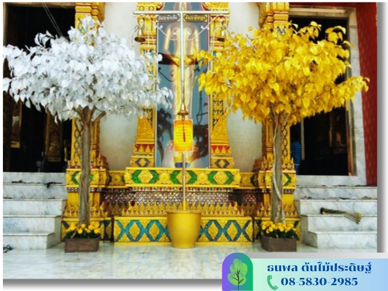 ต้นโพธิ์เงิน-โพธิ์ทอง
