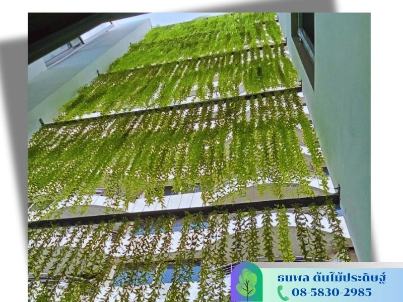 รับจัดอีเวนท์ต้นไม้ปลอม