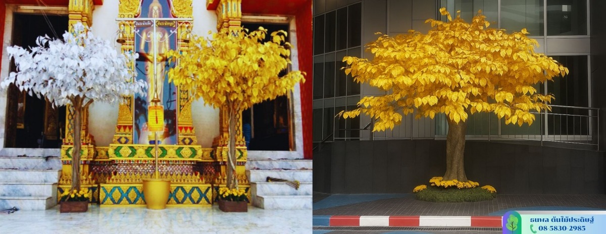 รับจัดพุ่มต้นโพธิ์เงิน-โพธิ์ทอง