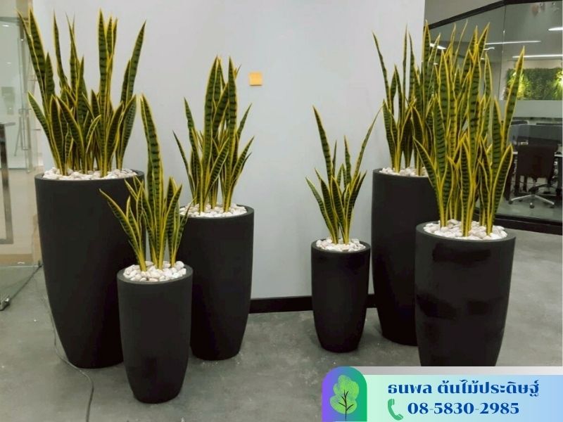 สวนต้นไม้ปลอม_0 สวนต้นไม้ปลอม_0